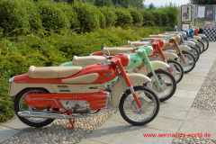 Chimera 250, Varese