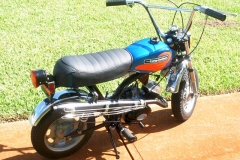 shortster_blue_greg3