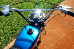 shortster_blue_greg4