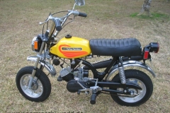 shorty-jerry