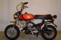 shorty-red