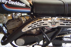 sxt125-left-total-france