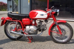 aladoro250