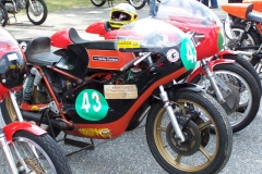 blackracer